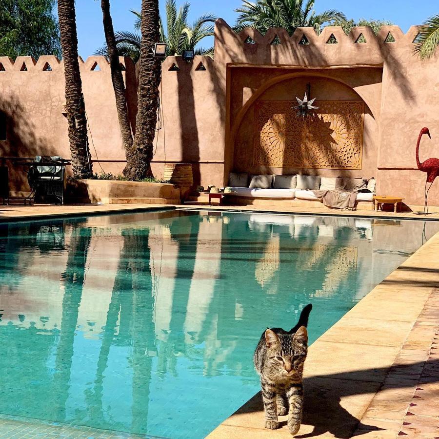 Couette-café Marrakech 10 Chambres - Piscine Chauffée Marrakesh